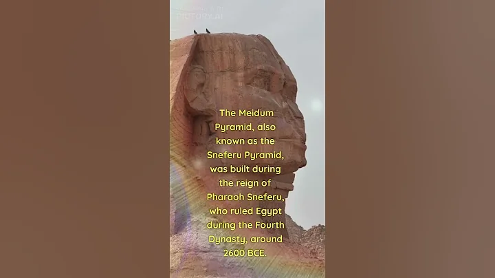 Video 3554271: sphynx explore