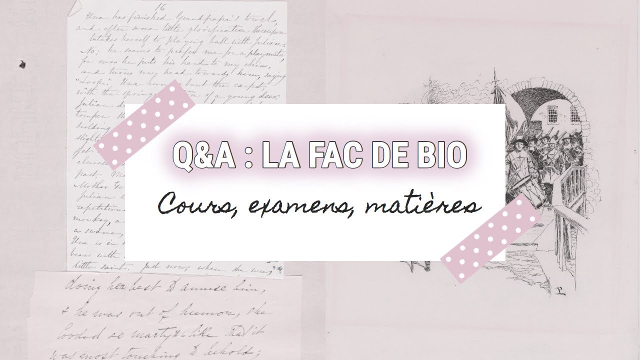 q&a : la fac (cours, examens, matières, etc.)