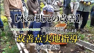 【木の根元の改善】「高田宏臣氏による房総坐禅道場境内実地調査」より