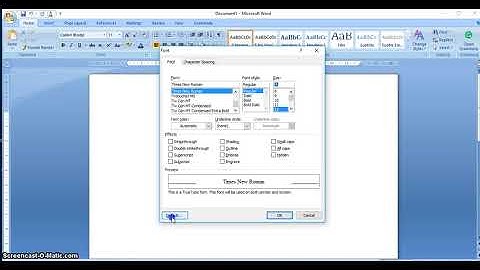 How do I set default font type and font size in Microsoft word 2007?