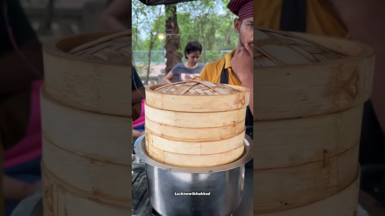 Lucknow Street Food 🍽  Chatori Gali 1090 New Food Stall Review  Viral Indian Food Vlog