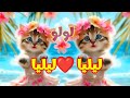 اغنية باسم ليليا اغنية ليليا لولو ليليا لولو السعودية الجزائر المغرب لبنان الامارات قطر العراق 