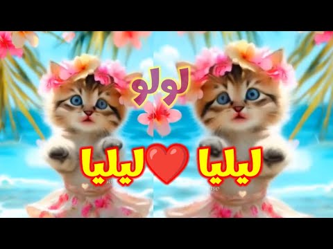 اغنية باسم ليليا اغنية ليليا لولو ليليا لولو السعودية الجزائر المغرب لبنان الامارات قطر العراق 