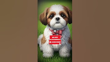 Bí mật dưới bàn chân Thạch Sùng: Công nghệ Nano tự nhiên? 🦎