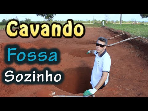 Vídeo: O culto aos vícios ou comportamento humano-animal de dois aspectos