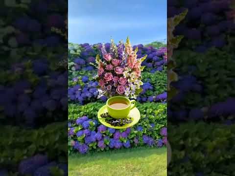 أسعد الله صباحكم بكل خير