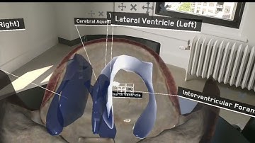 AnatomyX: AR Anatomy Lab and Learning Platform