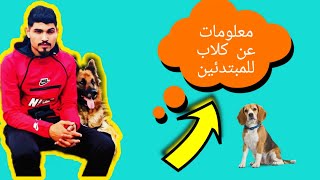 نصائح للمبتدئين في تربية كلاب !!!