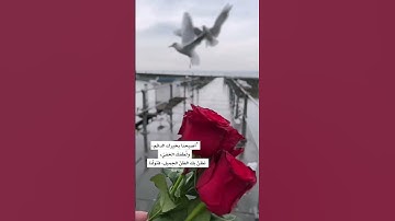 islam sobhi - تلاوة مليئة بالطمأنينة لفواتح سورة لقمان - القارئ إسلام صبحي