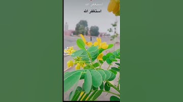 ٢٠ نوفمبر ٢٠٢٢تلاوة خاشعة الشيخ ريان المحيسني