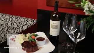 Filet Mignon Wine Pairing