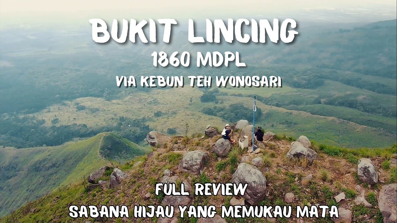 BUKIT LINCING 1860 MDPL VIA KEBUN TEH WONOSARI #review | SABANA HIJAU LERENG ARJUNO YANG MEMPESONA