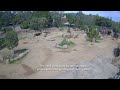 Elephants Form "Alert Circle" in Response to Earthquake at San Diego Zoo Safari Park