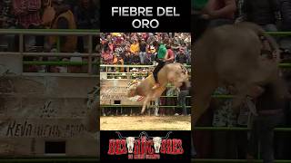 LOS DESTRUCTORES ‑ FIEBRE DEL ORO VS GERA RODRIGUEZ