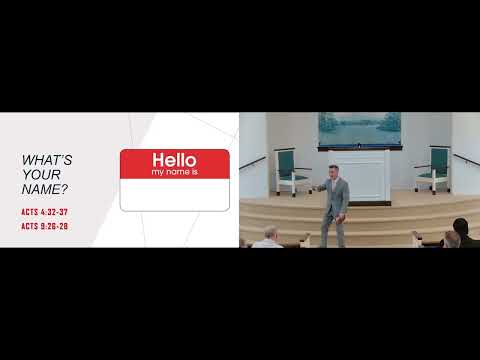 Video preview