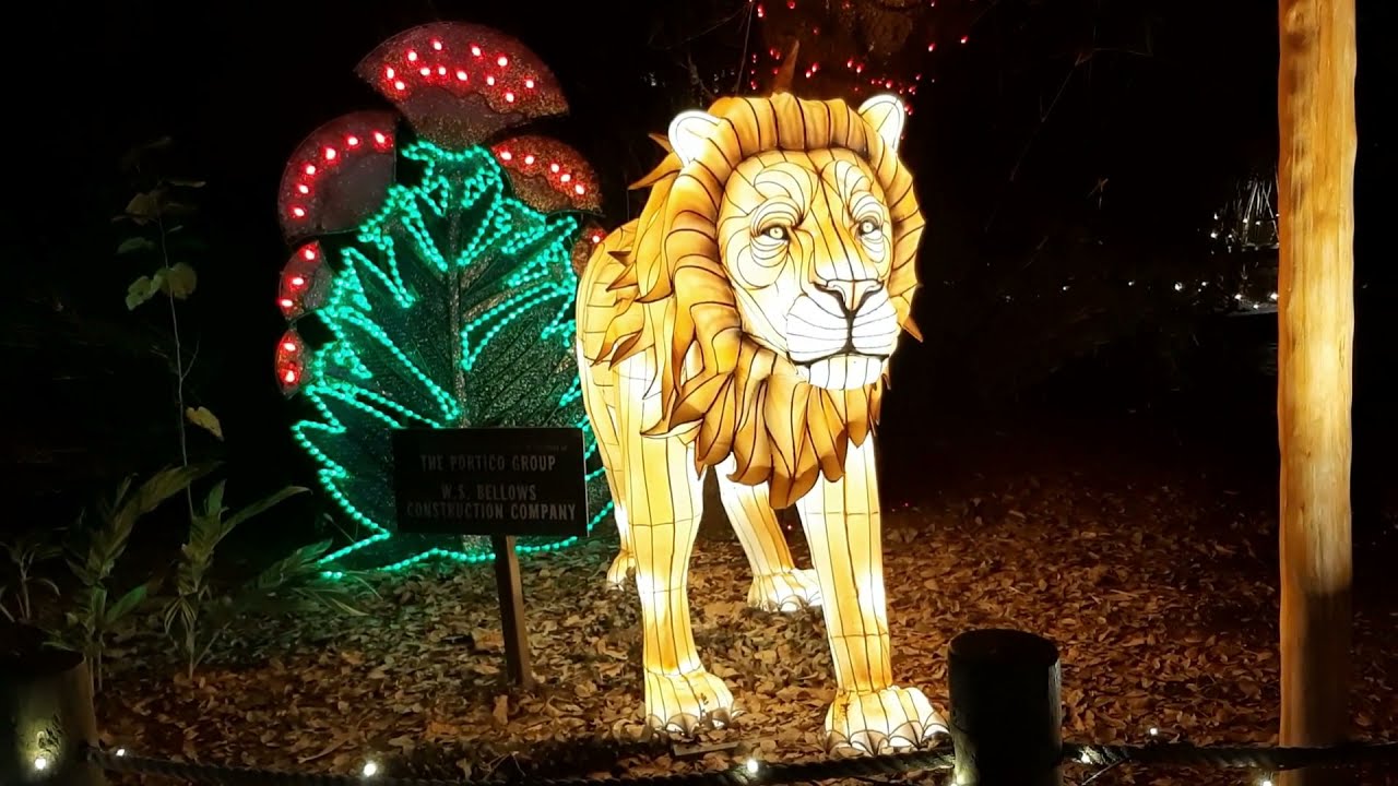 Houston Zoo - Zoo Lights 2021
