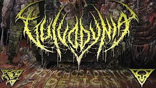 Vulvodynia - Unparalleled Insubordination Feat. Don Campan of Waking The Cadaver [OFFICIAL HD AUDIO]