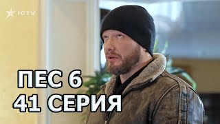 Сериал ПЕС 6 - 6 сезон - 41 серия