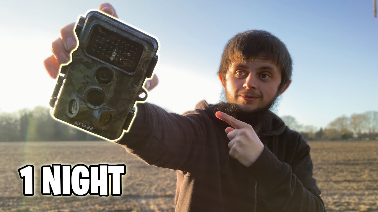 24 Hours in the Woods: What My Trail Camera Saw!