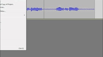 Delete, copy and paste in Audacity