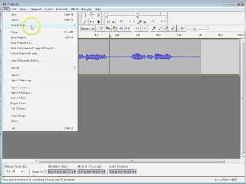 Delete, copy and paste in Audacity