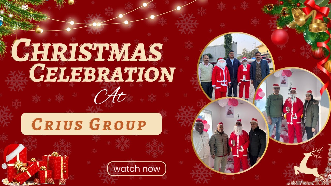 Experience the Magic of 🎄Christmas 2024 🎄at Crius Group! ✨
