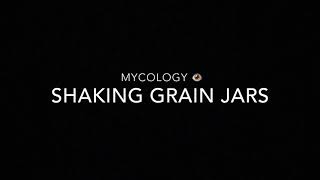 How & When To Shake Grain Jars