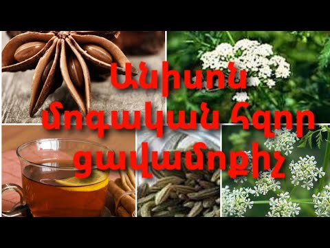 Video: Աստղային անիսոնի կիրառություն - Իմացեք աստղային անիսոն բույսերի աճեցման մասին