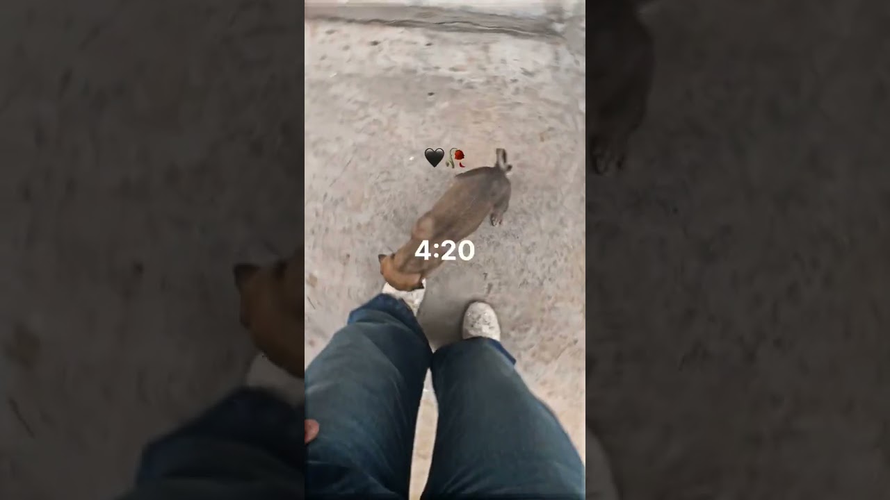 my first mini vlog😊🧿