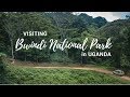 Exploring Bwindi Impenetrable National Park | Gorilla Safari Lodge | Uganda