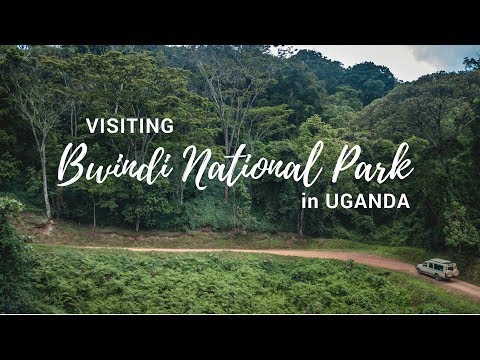 Video: Bwindi Impenetrable National Park: Mwongozo Kamili