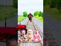 White colors Cute cat &amp; babyvswolf&amp;traindriver tom vfx #funny #video 🤣 Mp3 Song