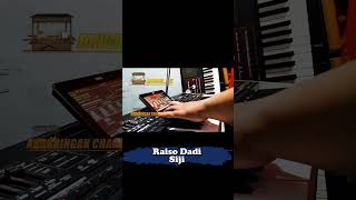Raiso Dadi Siji Tanpa Kendang Cover