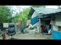 একটি আর্দশ গ্রামীণ বাড়ি ও বাগান কেমন হয় দেখেন। village home