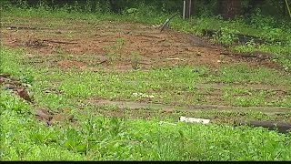 Family gains sense of closure after arrests made in Dubois Co. murder