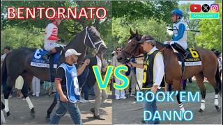 Battle of Champion Sprinters: Bentornato vs. Book'em Danno in 2026 True North Stakes