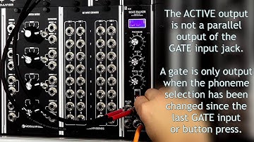 SSL Scat-Talker Exploration #1