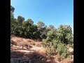 Terra Santa 2019 - Pastorale Giovanile Alba e Mondovi (day2)