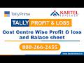 Cost Centre Wise Profit & Loss in Tally Prime | TDL | Tally Prime Customization