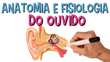 Qual osso aloja os ossículos da audição?