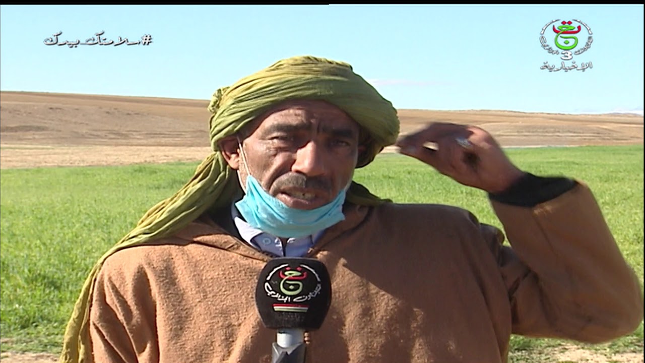 تيسمسيلت - فلاحة / انتاج الحبوب