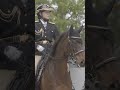 【セカンドキャリウマ】　警視庁騎馬隊・ナスノセイカン編　～ダイジェスト～