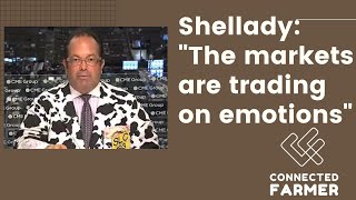 Famous Scott "Cow Guy" Shellady: "The Markets Are Trading on Emotions" Profile
