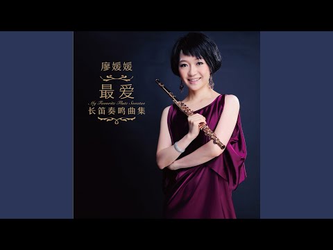 Assista a 罗伯特·穆钦斯基：为长笛与钢琴而作的奏鸣曲op.14 第四乐章：稍快的快板 no YouTube