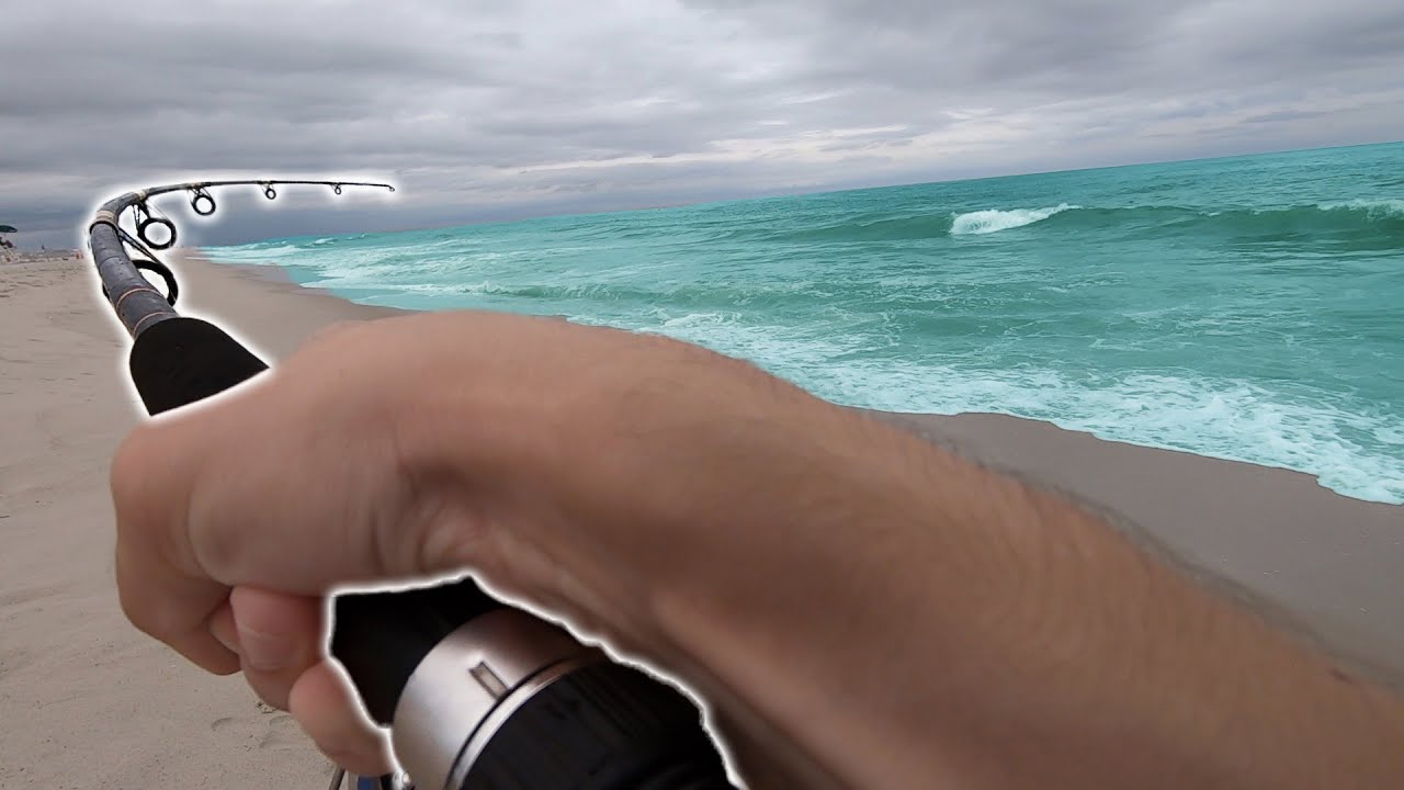 Surf Fishing with a Spoon (Unexpected Catch) YouTube