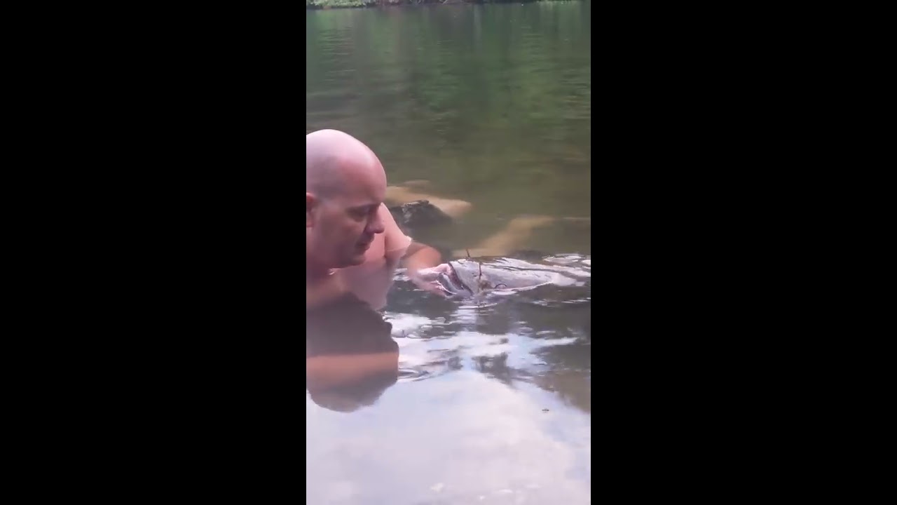 Catfish Noodling Gone Wrong! Charlene the Giant Flathead Catfish