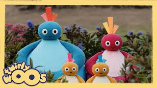 Tam dolu | Twirlywoos Türkçe | Çocuklar için Videolar