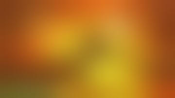 (D3) Z-Hunter (2008) ★★★★★★★★★☆