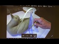Laurie McNeil shows her techniques for carving & painting her long-tailed duck   July 2017