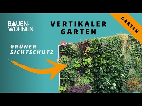 Video: Vertikale Gartenarbeit Und Verschönerung